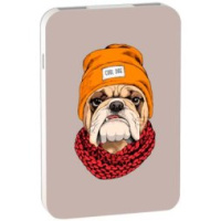 Портативное зарядное устройство RITMIX, арт. RPB-10007_BULLDOG
